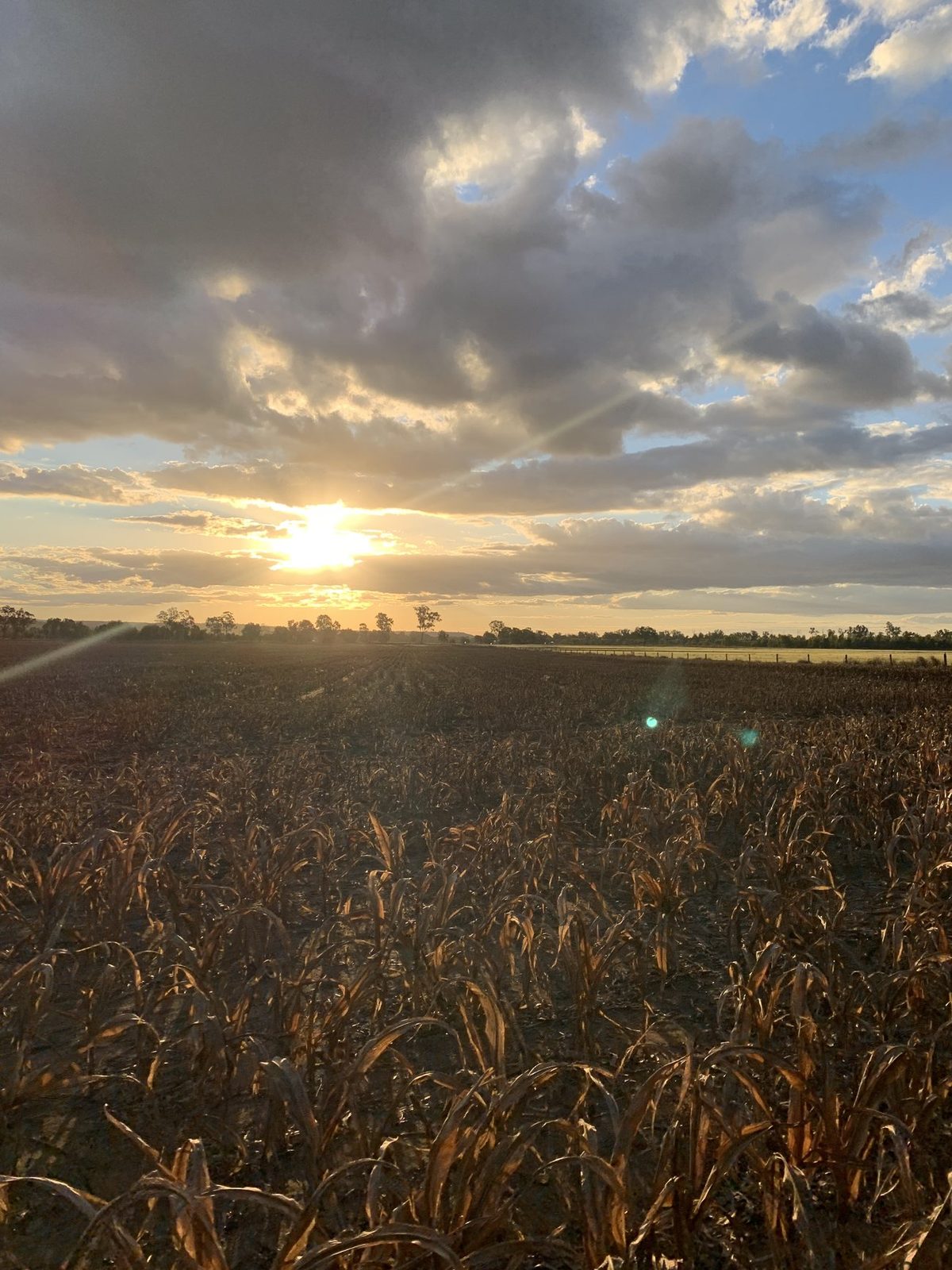 Rural land at sunset, Queensland